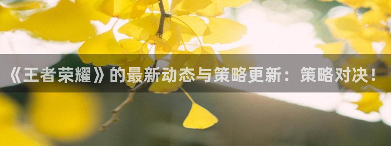 奇亿娱乐登录地址：《王者荣耀》的最新动态与策略更新：策略对决