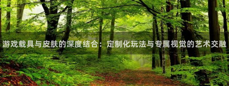 奇亿娱乐娱乐是真的吗：游戏载具与皮肤的深度结合：定制化玩法与