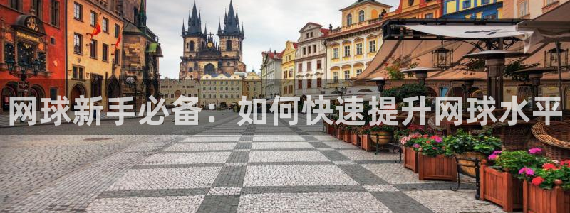 奇亿娱乐测速：网球新手必备：如何快速提升网球水平